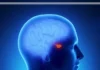How Your Body Tells Time In the evening, the SCN helps signal the body’s natural production of melatonin that tells you when it’s time for sleep.