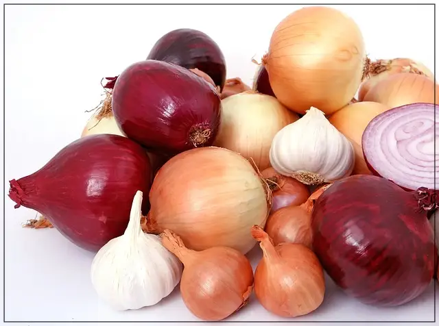 why-not-to-eat-Onion-garlic
